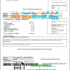 editable template, USA Waitsfield Telecom utility bill template in Word and PDF format