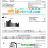 editable template, USA Washington Water Service utility bill template in Word and PDF format