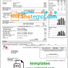 editable template, USA WPS utility bill template in Word and PDF format