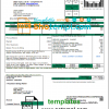editable template, USA Coles - Moultrie utility bill template in Word and PDF format