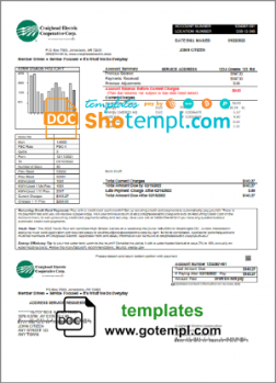 editable template, USA Craighead Electric utility bill template in Word and PDF format