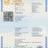 editable template, Germany birth certificate template in PSD format, fully editable
