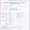 editable template, Zimbabwe birth certificate template in PSD format, fully editable