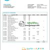 editable template, United Kingdom WestStein Bank statement template in Word and PDF format