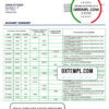 editable template, Afghanistan Aib bank statement template in Excel an PDF format