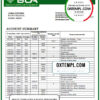 editable template, Angola Banco Comercial Angolano statement template in Excel and PDF format