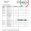 editable template, Angola Banco Ecenomico bank statement template in Excel and PDF format