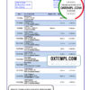 editable template, Azerbaijan AtaBank bank statement template in Excel and PDF format