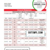 editable template, Bahamas Scotiabank bank statement template in Excel and PDF format