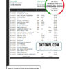 editable template, Bangladesh Agrani Bank statement template in Excel and PDF format