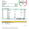 editable template, Barbados First Citizens bank statement template in Excel and PDF format