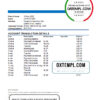editable template, Belarus Paritet bank statement template in Excel and PDF format