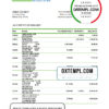 editable template, Belize bank statement template in Excel and PDF format, fully editable