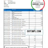editable template, Belize Choice Bank statement template in Excel and PDF format