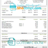 editable template, # smooth slick pay stub template in Word and PDF format