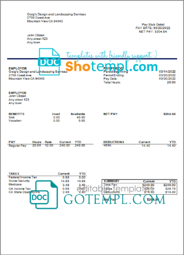 editable template, # bright mind pay stub template in Word and PDF format