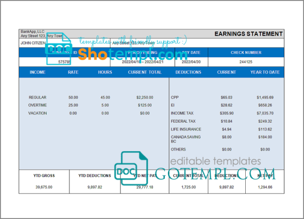 editable template, # cross wise pay stub template in Word and PDF format