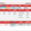 editable template, # sure shot pay stub template in Word and PDF format
