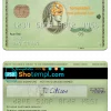 editable template, USA Massachusetts Radius bank AMEX green card template in PSD format, fully editable