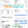 editable template, USA Texas McKinney utility bill template in Word and PDF format