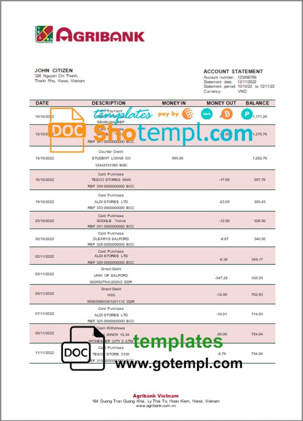 editable template, Vietnam Agribank bank statement template in Word and PDF format