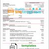 editable template, Vietnam BIDV bank statement template in Word and PDF format