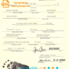 editable template, Kenya birth certificate template in PSD format, fully editable