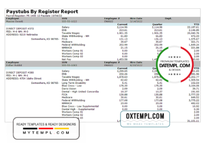 editable template, # well cared pay stub template in Word and PDF format