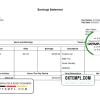 editable template, # look out pay stub template in Word and PDF format