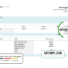 editable template, # unique one pay stub template in Word and PDF format