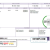 editable template, # true form pay stub template in Word and PDF format