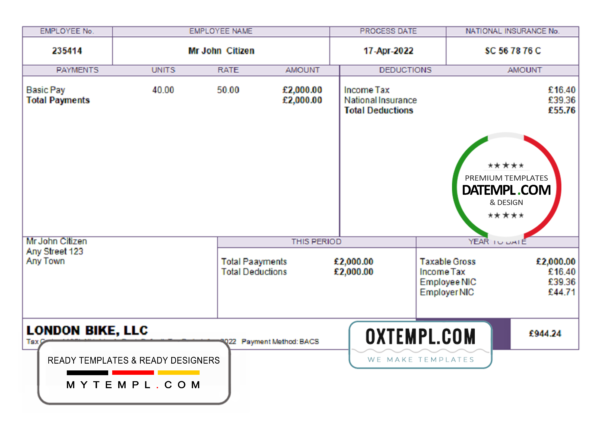 editable template, # true form pay stub template in Word and PDF format