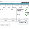 editable template, # local mind pay stub template in Word and PDF format
