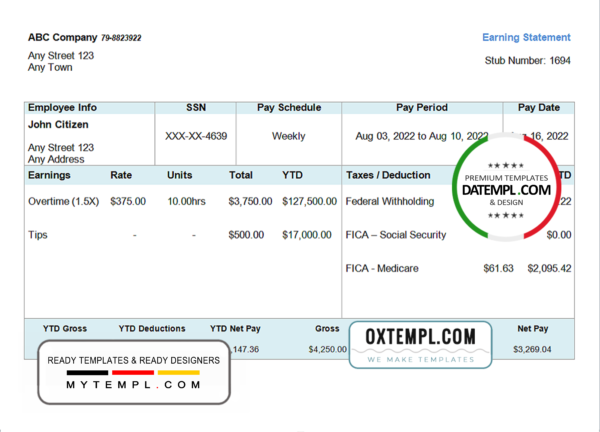 editable template, # steady form pay stub template in Word and PDF format