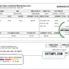 editable template, USA Texas commercial cleaning company earnings statement template in Word and PDF format
