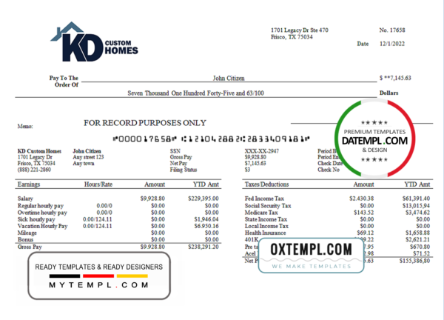 editable template, # under score pay stub template in Word and PDF format