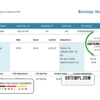 editable template, # central mass pay stub template in Word and PDF format