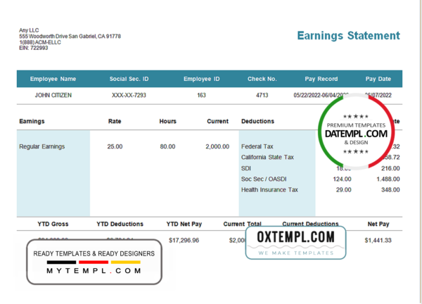 editable template, # central mass pay stub template in Word and PDF format