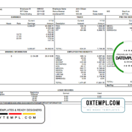 editable template, # perfect fit pay stub template in Word and PDF format