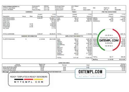 editable template, # perfect fit pay stub template in Word and PDF format