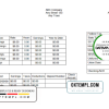 editable template, # safe speech pay stub template in Word and PDF format