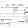 editable template, # special link pay stub template in Word and PDF format