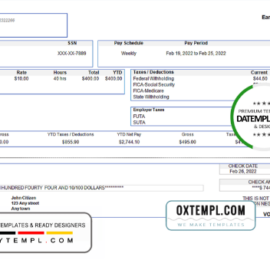 editable template, # special link pay stub template in Word and PDF format