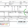 editable template, # fully mind pay stub template in Word and PDF format