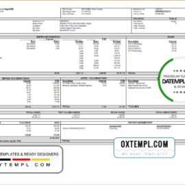 editable template, # fully mind pay stub template in Word and PDF format