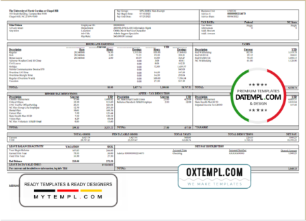 editable template, # fully mind pay stub template in Word and PDF format