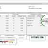 editable template, # good gold pay stub template in Word and PDF format