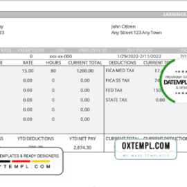 editable template, # good gold pay stub template in Word and PDF format