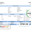 editable template, # double dash pay stub template in Word and PDF format