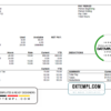 editable template, # enough good pay stub template in Word and PDF format
